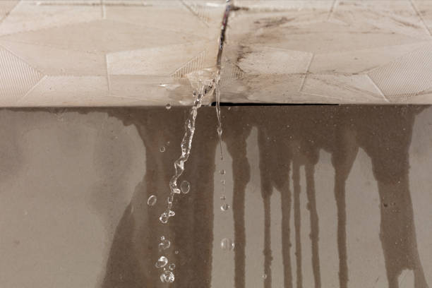 Professional Burst Pipe Cleanup technician working in Edwardsville, IL